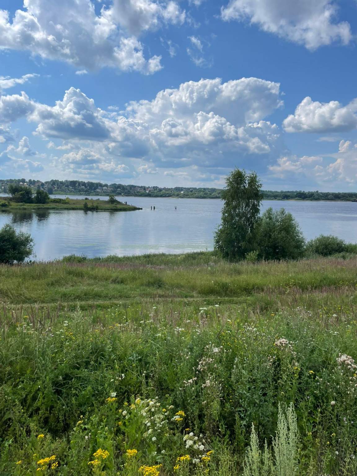 Купить  участок
